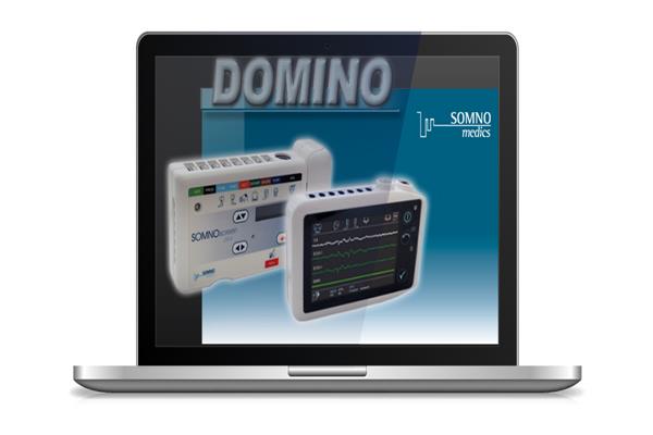 Domino Software6