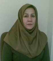 رسانه جدید